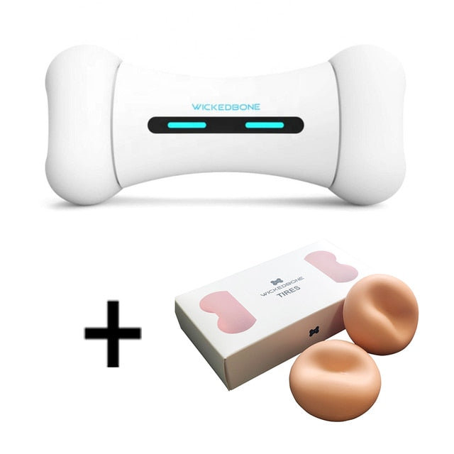 Pawhub Pet Induction Interactive Toy