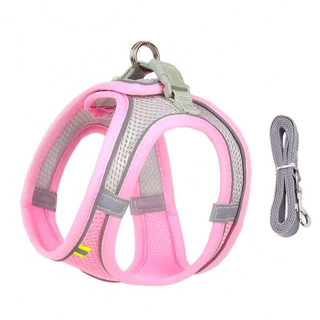Dog Harness Leash