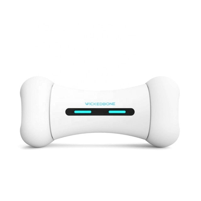 Pawhub Pet Induction Interactive Toy