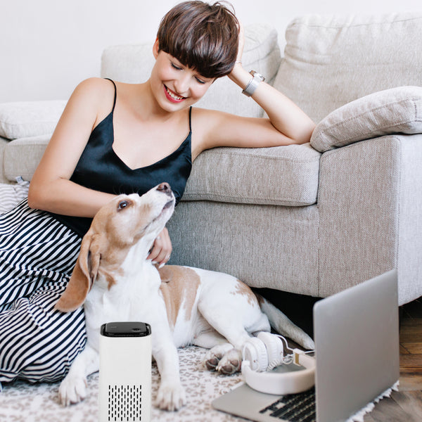 PureBriz™ Pet Air Purifier