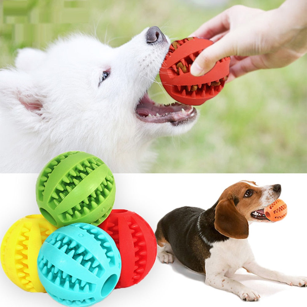 Pet Chewing Toys