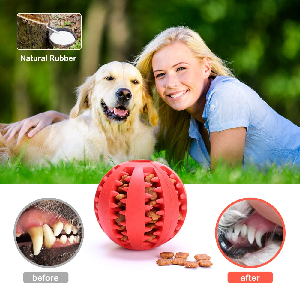 Pet Chewing Toys