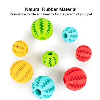 Pet Chewing Toys